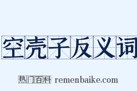 空壳子反义词是什么意思的图片
